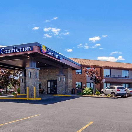 Comfort Inn Sainte-Catherine Exterior foto